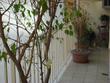 Long rentals in Buenos Aires