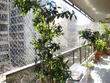 Long rentals in Buenos Aires